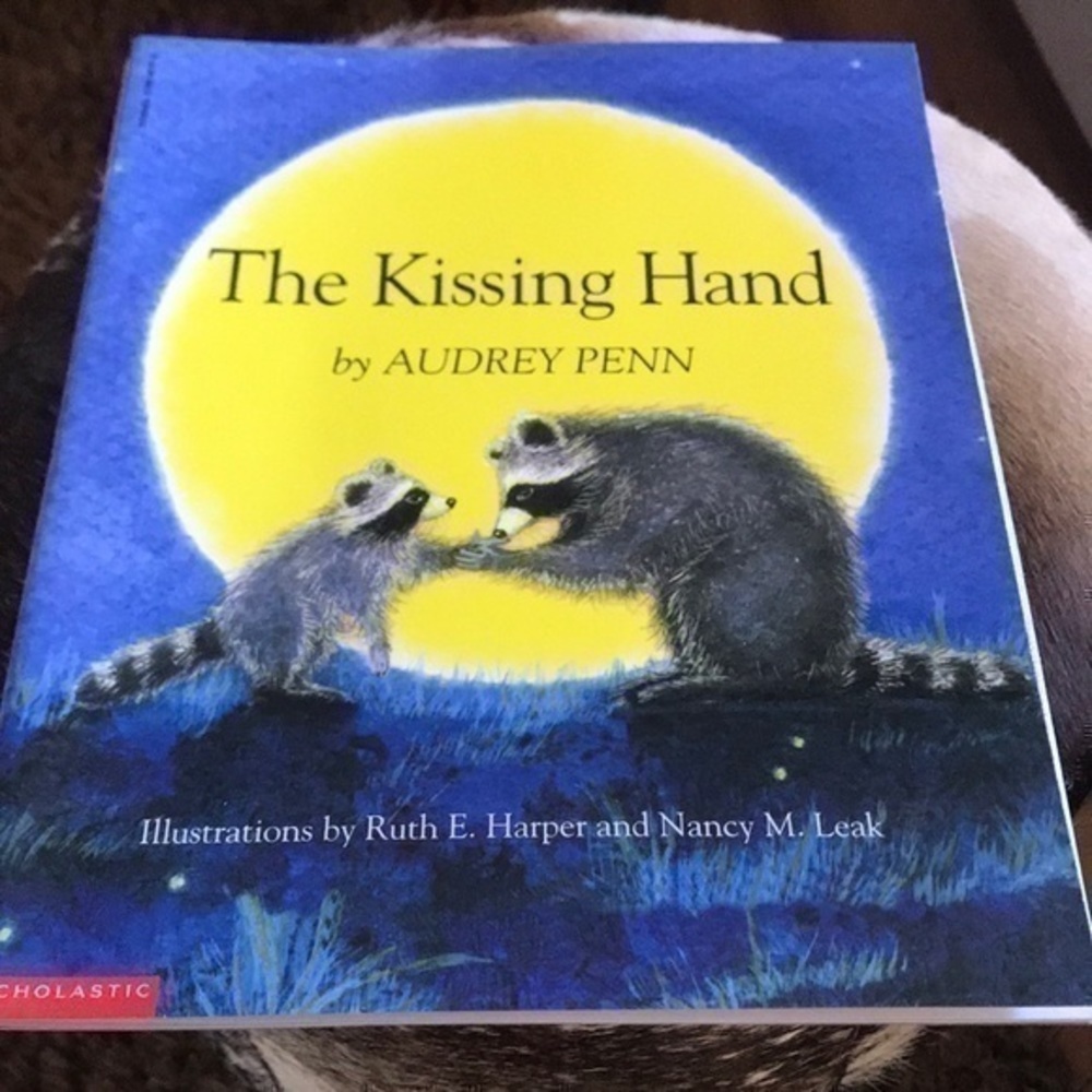 The Kissing Hand storybook children book